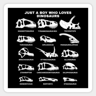 Types of Dinosaurs Just a boy who loves dinosaurs Sticker